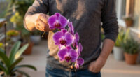 Costco’s $25 Floating Orchids Look Better Than A $500 Florist Arrangement